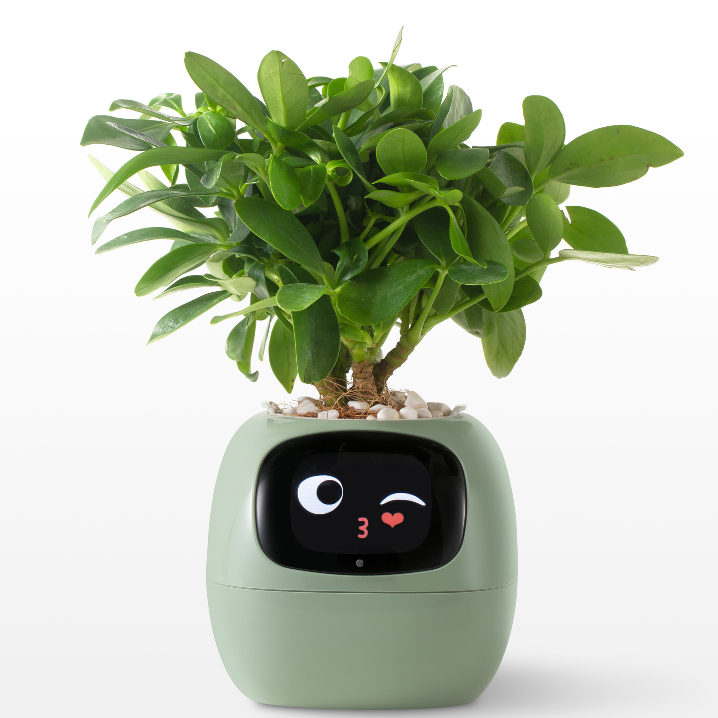 Jardinière intelligente SproutMate 