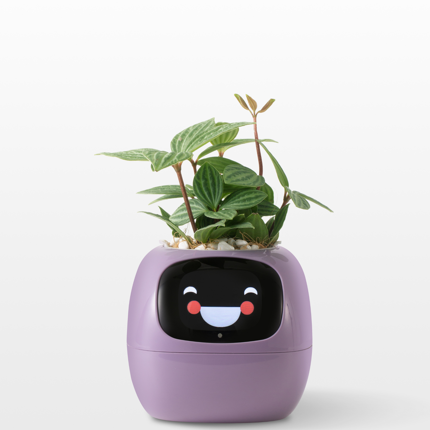 Jardinière intelligente SproutMate 