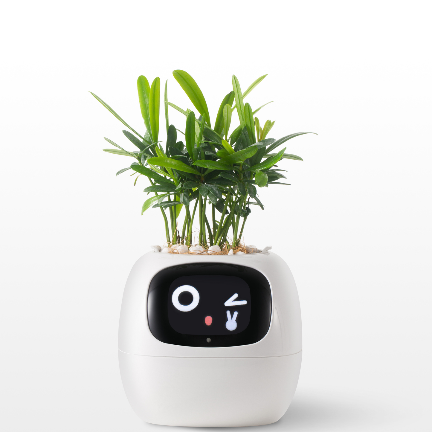 Jardinière intelligente SproutMate 