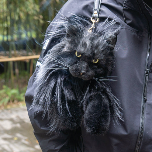 Sac à dos pour chat Maine Coon