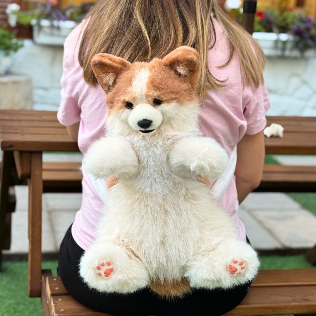 Corgi Backpack